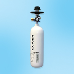 Smaller Portable Cylinder (Freedom® 300)